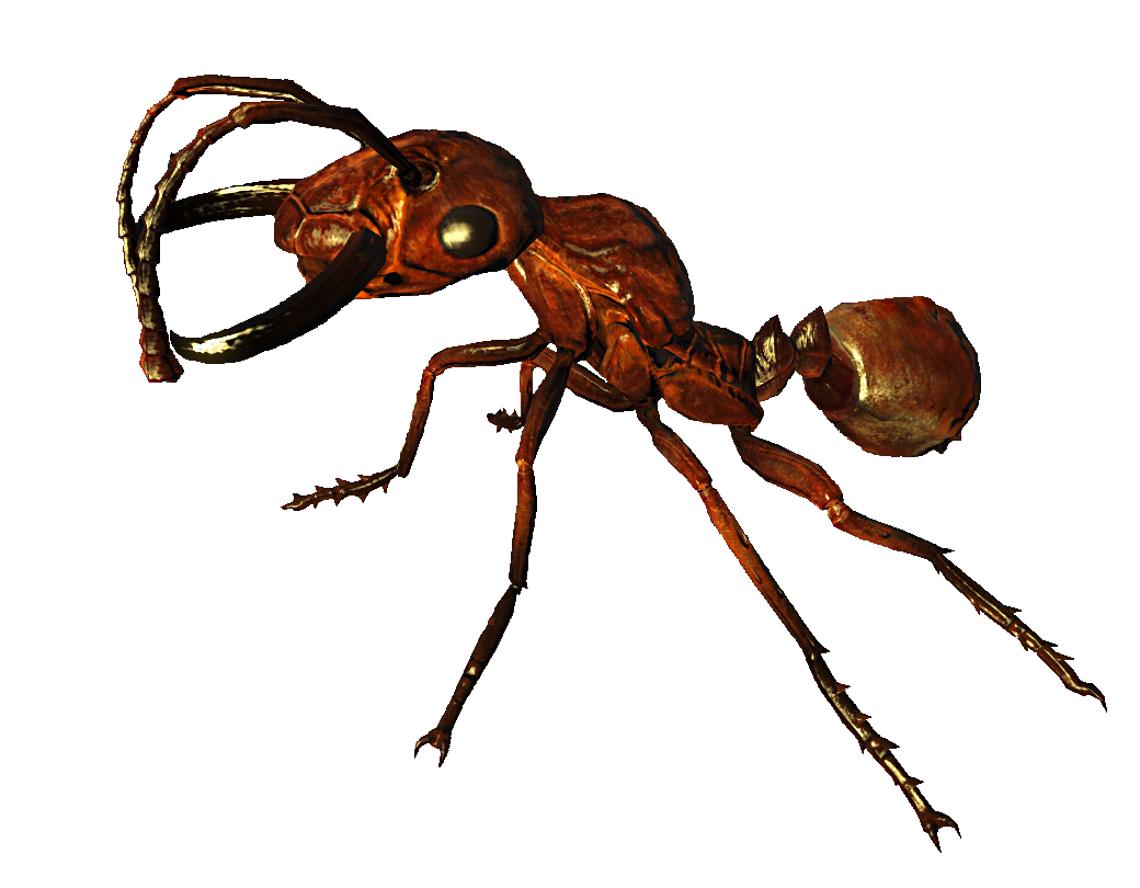 picture-ant